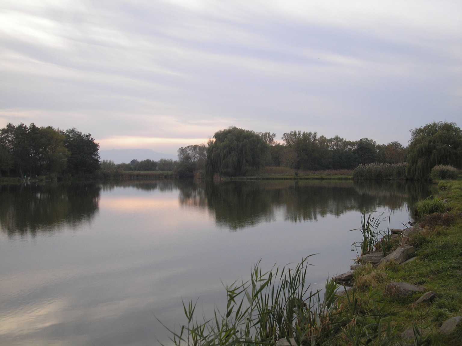 074.Opekačka pri Ruskovskom rybníku - 20.10.2006_tn