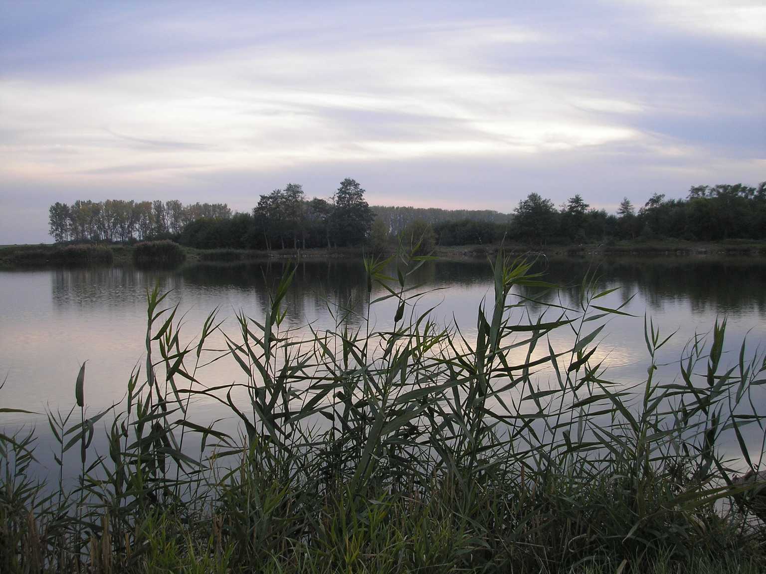 078.Opekačka pri Ruskovskom rybníku - 20.10.2006_tn